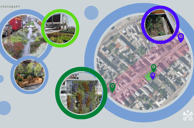 Project Life Latest Adapt in Riga